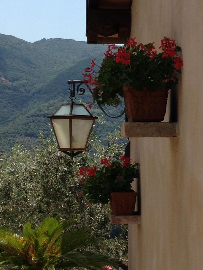 Agriturismo Collerisana Σπολέτο Εξωτερικό φωτογραφία